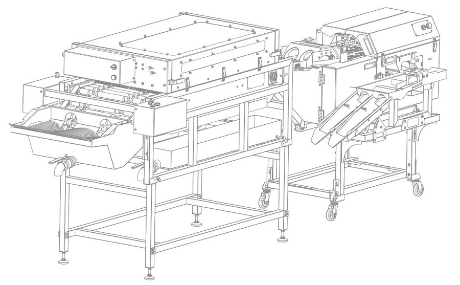 洗蛋+雙排敲蛋機組合生產(chǎn)線