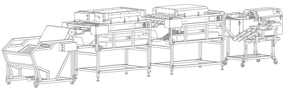 上蛋+洗蛋+烘干+雙排敲蛋機組合生產(chǎn)線